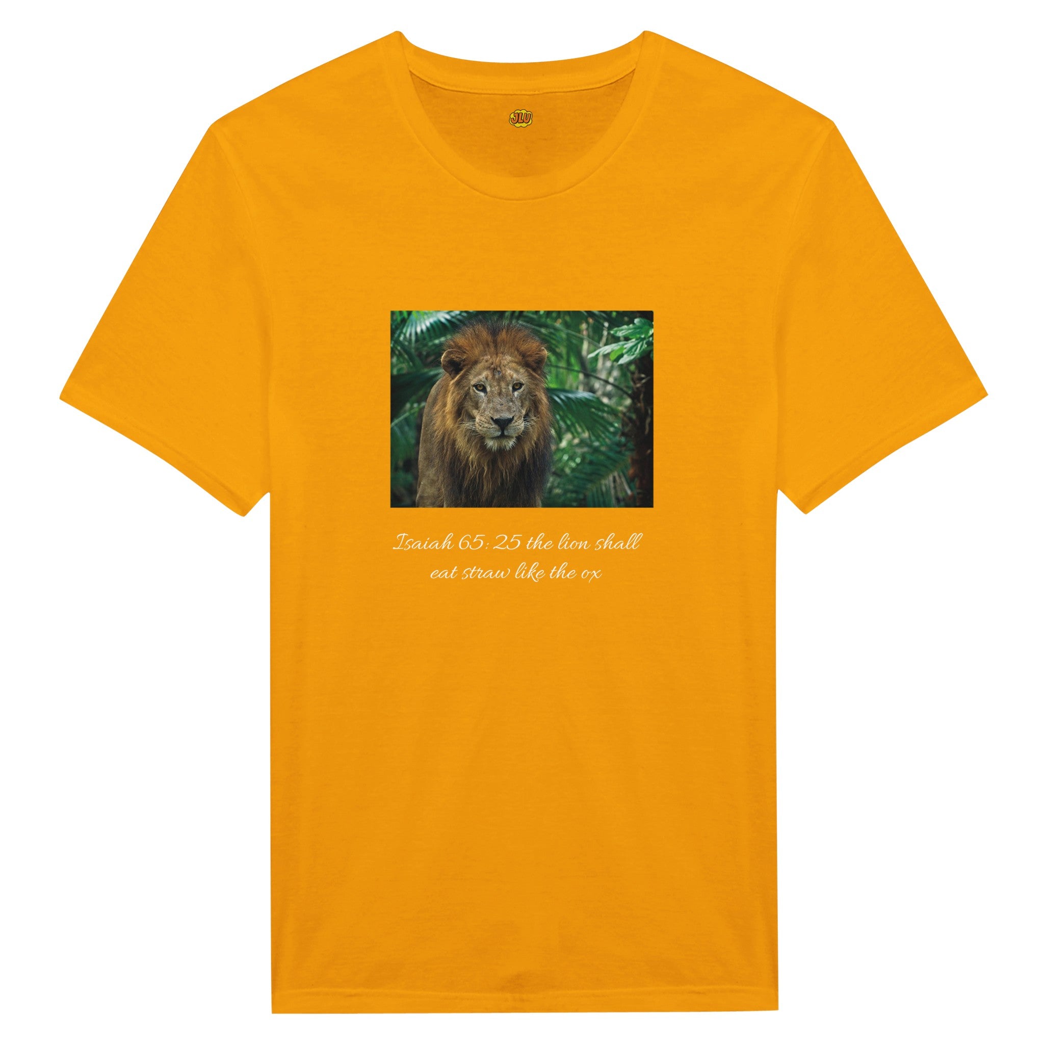 1fdee3e3-26e0-46c2-8d10-4c19a7f40ad3